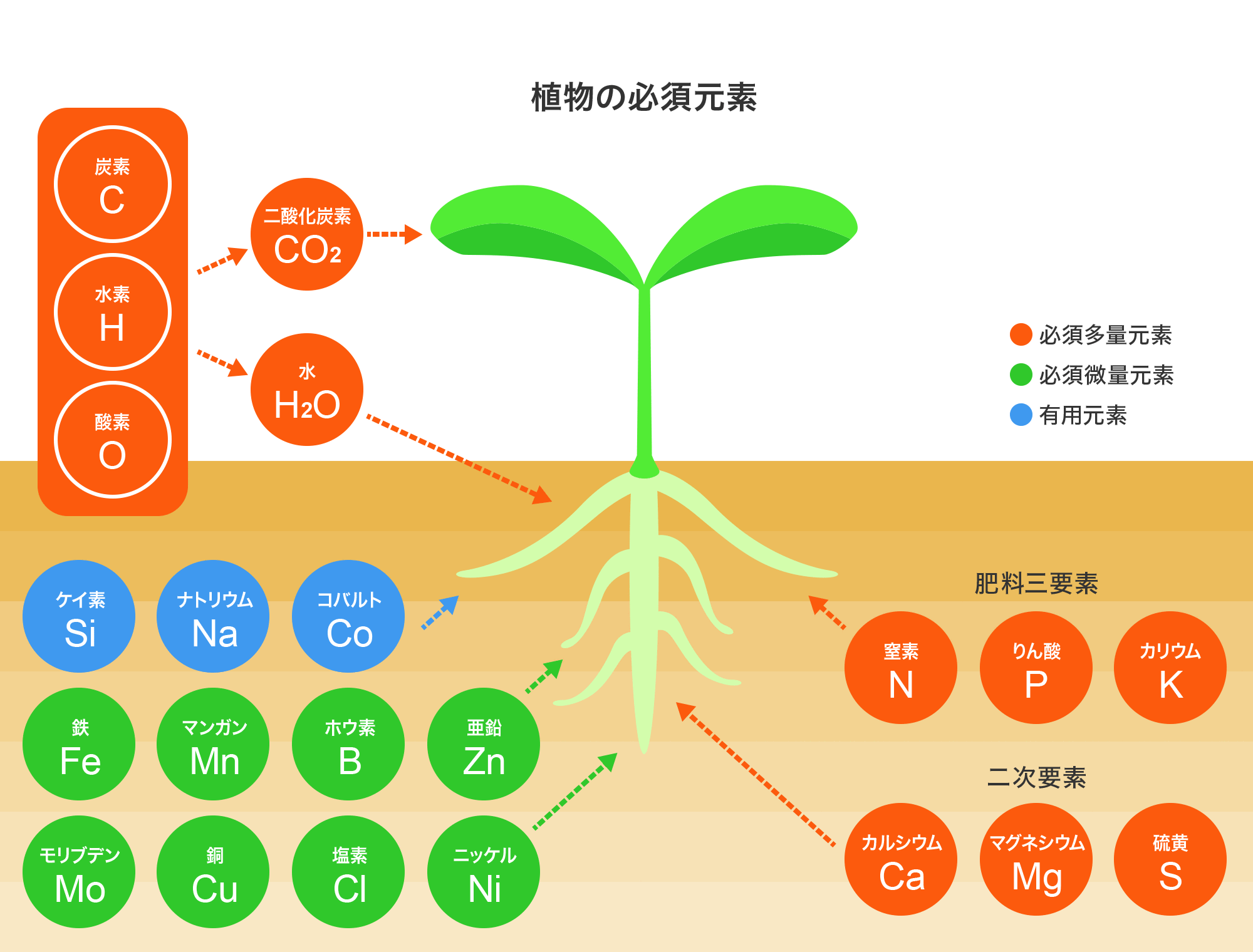 植物の必須元素 肥料雑学 太陽肥料